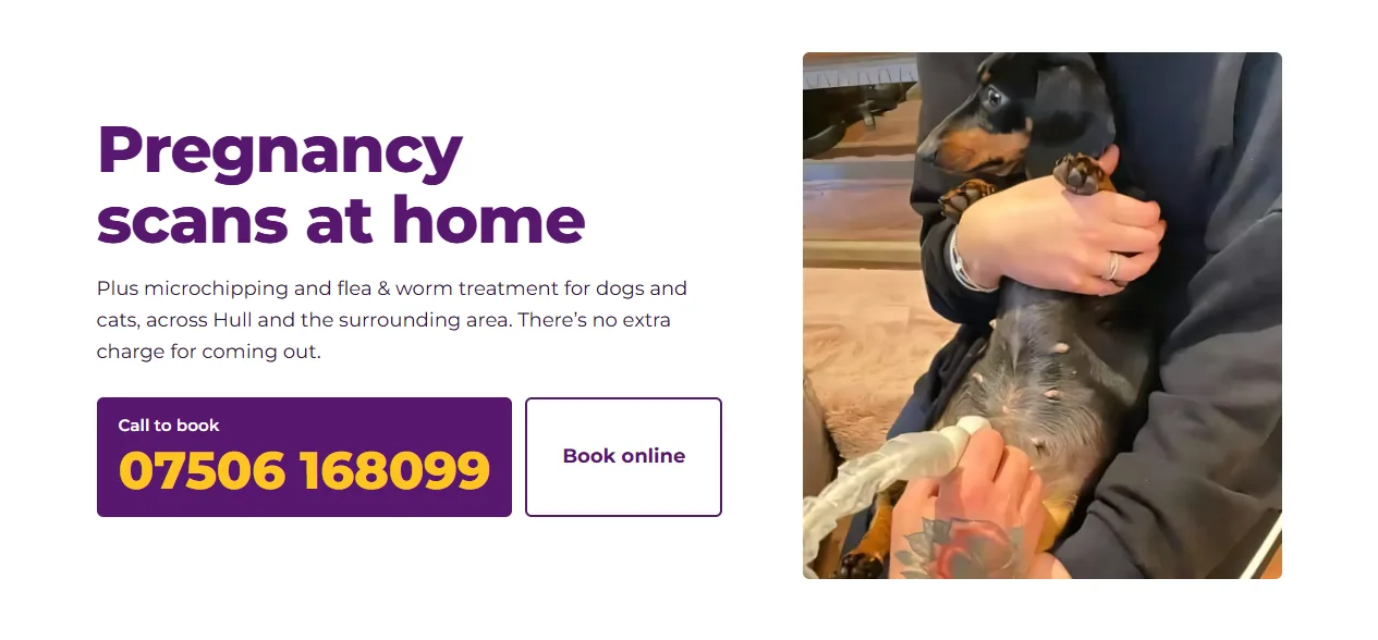 PetUltrasound website with a purple pregnancy scans at home headline and a photograph of a dog having an ultrasound.